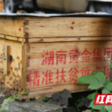 石堰村的事，再小也是湖南黄金惦记的事