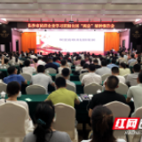 学全国两会精神 民营企业家为长沙高质量发展鼓与呼