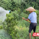 幸福的炊烟丨冷水滩麦子园村：贫困村的美丽“变形记”