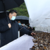 久久为功,习近平多次这样告诫全党