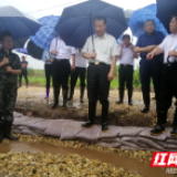 国家防总副总指挥、水利部部长鄂竟平一行赴岳阳调研防汛工作