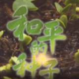 和平的种子