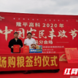 现场测产 购粮签约 多地联动庆丰收 隆平高科庆祝中国农民丰收节