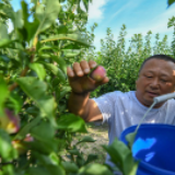 财经观察 | 海外人士热议中国减贫经验全球启示