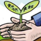 湖南出台20条举措 助力打造中部知识产权保护高地