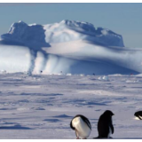 揭示二氧化碳影响全球变暖 获得了今年诺贝尔物理学奖