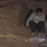 一眼穿越亿万年 重返侏罗纪 | “禄丰恐龙头朝东方”之谜，专家这样分析……