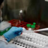 世卫组织：已有192个国家和地区出现德尔塔变异株感染者