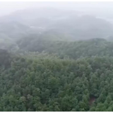 湖南卫视新闻联播丨湘潭昭山旅游度假区：守护生态绿心 发展“美丽经济”