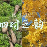回望2021｜四时之韵