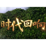 时代回响