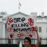 召集大杂烩式“民主峰会”的美国更需要反思自身民主状况