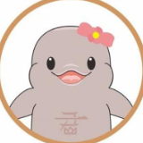 君山区倾力打造城市品牌