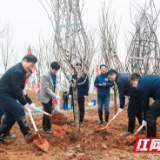 送你一片樱花林！湖南湘江新区开展2021年植树活动