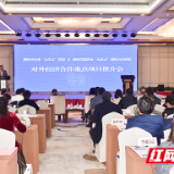 加快湘企抱团“走出去”  打造对外投资合作“湖南模式”