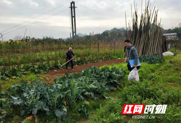 洪江区：为民办实事  助力春耕解民忧