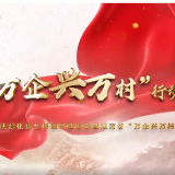 视频丨吹响“万企兴万村”行动“集结号”