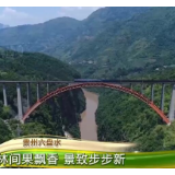 贵州六盘水：林间果飘香 景致步步新