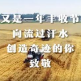 微视频 | 今天，致敬他们！