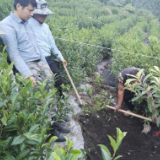 新时代新征程新伟业·二十大精神在基层|西藏墨脱：厚植绿色根基 描绘振兴“新颜”