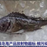 核污染忧虑难消！日本福岛海产品放射物再超标