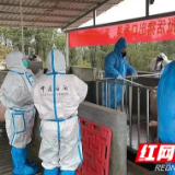 湖南现代农业集团：一手做好生产保供 一手助力乡村振兴