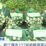 同心抗疫 全国多地紧急调集蔬菜等物资驰援上海
