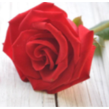 红网夜读｜没有什么快乐，胜过有颗淡然自在的心