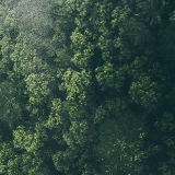 长城视频 | 穿越塞罕坝