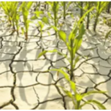 湖南八成以上国土面积出现水文干旱 水利部门这样防旱抗旱