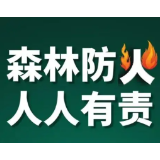 湖南省发布2022年森林防火命令 将依规依纪依法严肃追责问责