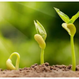 红网夜读丨只有让自己忙起来,生命才有意义