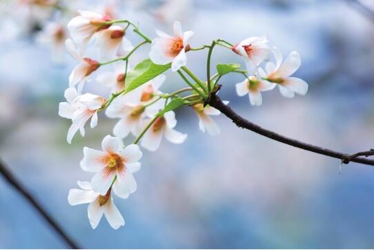 QQ截图20230423092649.jpg QQ截图20230423092649.jpg