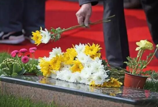 长沙：选择节地生态安葬逝者骨灰最高可获5000元奖励