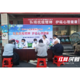 岳阳临湘市积极开展10.10世界精神卫生日宣传活动