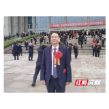 湖南省结防所所长唐细良荣获全省抗疫先进个人