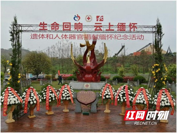 1585901552(1)_看图王.wm.jpg