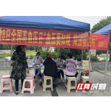 世界高血压日 岳阳市屈原管理区营田镇中心卫生院义诊进社区