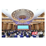 张家界市召开中医药大会