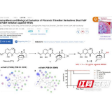 中南大学段燕文团队在非酒精性脂肪肝治疗新药转化研究中取得成果