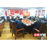 郴州：临武县卫健系统开展党组织党建和意识形态工作述职