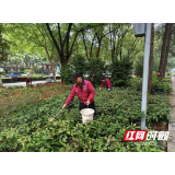 娄底：用好加减乘除法 灭害防病再加码