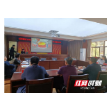 岳阳楼区卫生健康局：学史增信 增强健康楼区建设使命感