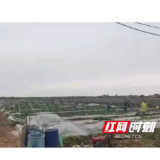 岳阳县计生协会对计生受灾家庭有序开展雨后减灾救助