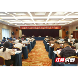 岳阳市召开2021年深化医药卫生体制改革工作会议
