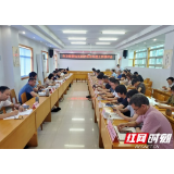 岳阳市卫健委召开半年工作总结讲评会