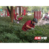 娄底启动中心城区公共区域除“四害”集中消杀行动