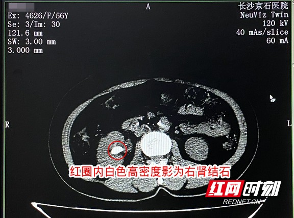 图片2.wm.jpg