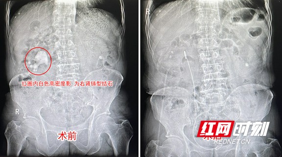 图片1.wm.jpg