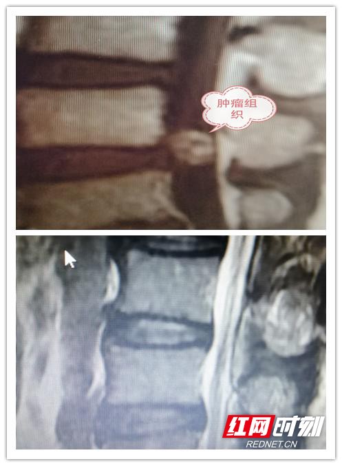 图片5.wm.jpg 图片5.wm.jpg